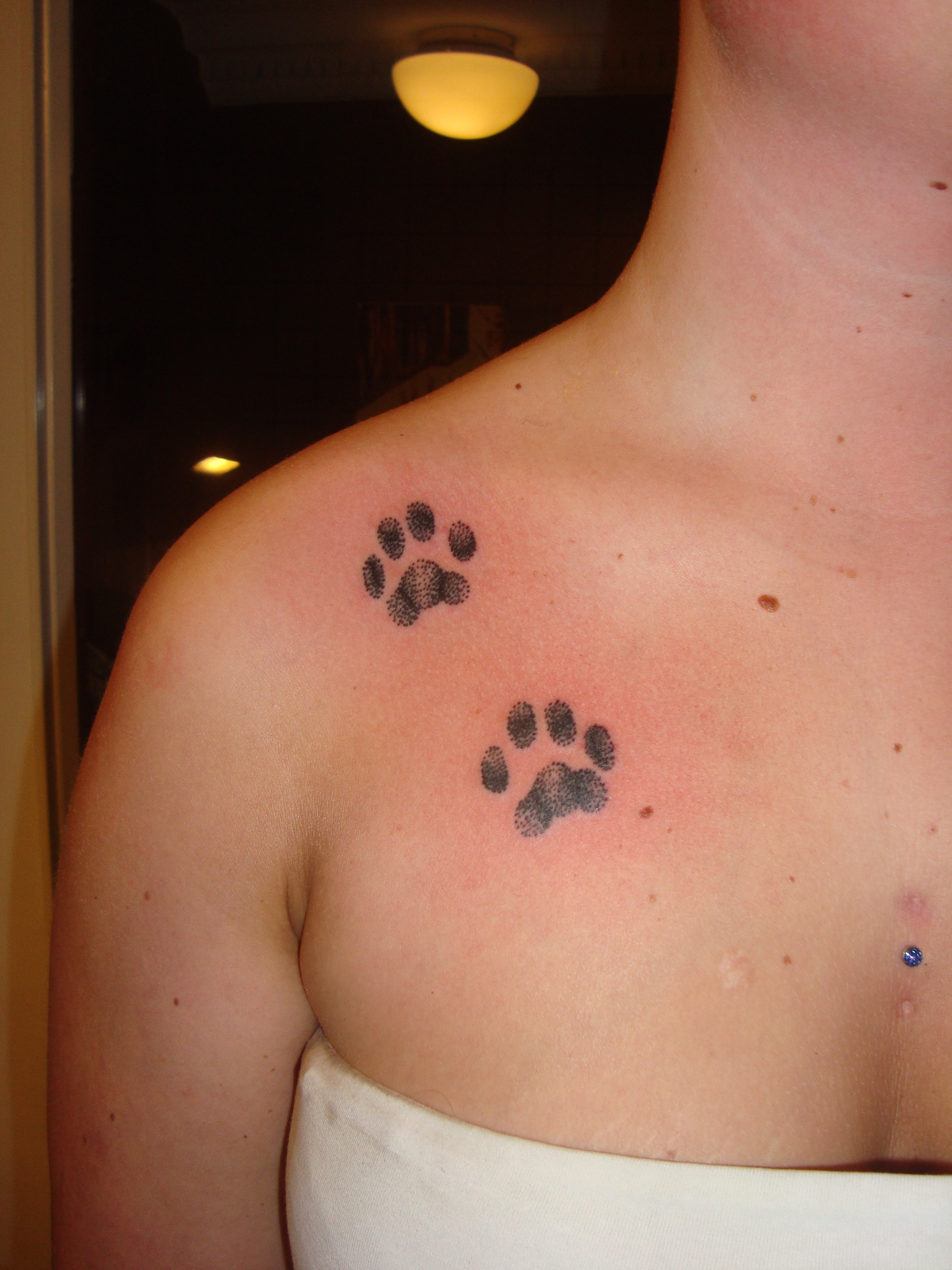 My cats paw print (tattoo) by Blackcats91 on DeviantArt